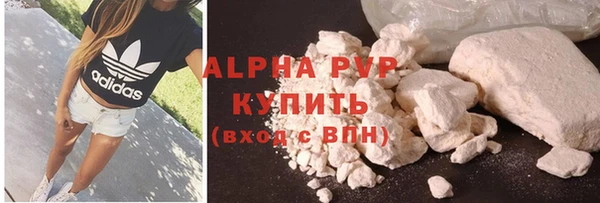 Альфа ПВП Новозыбков