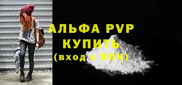 Альфа ПВП Новозыбков
