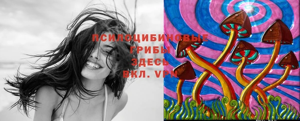 мяу мяу кристалл Новодвинск