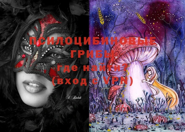 МДМА Няндома