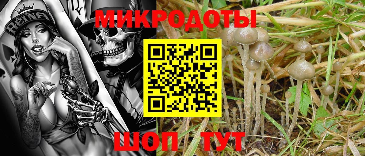 Псилоцибиновые грибы мицелий  Вход с VPN  Удомля  закладка  Галлюциногенные грибы Magic Shrooms 