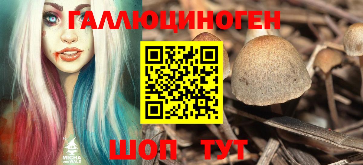 Галлюциногенные грибы Cubensis Удомля